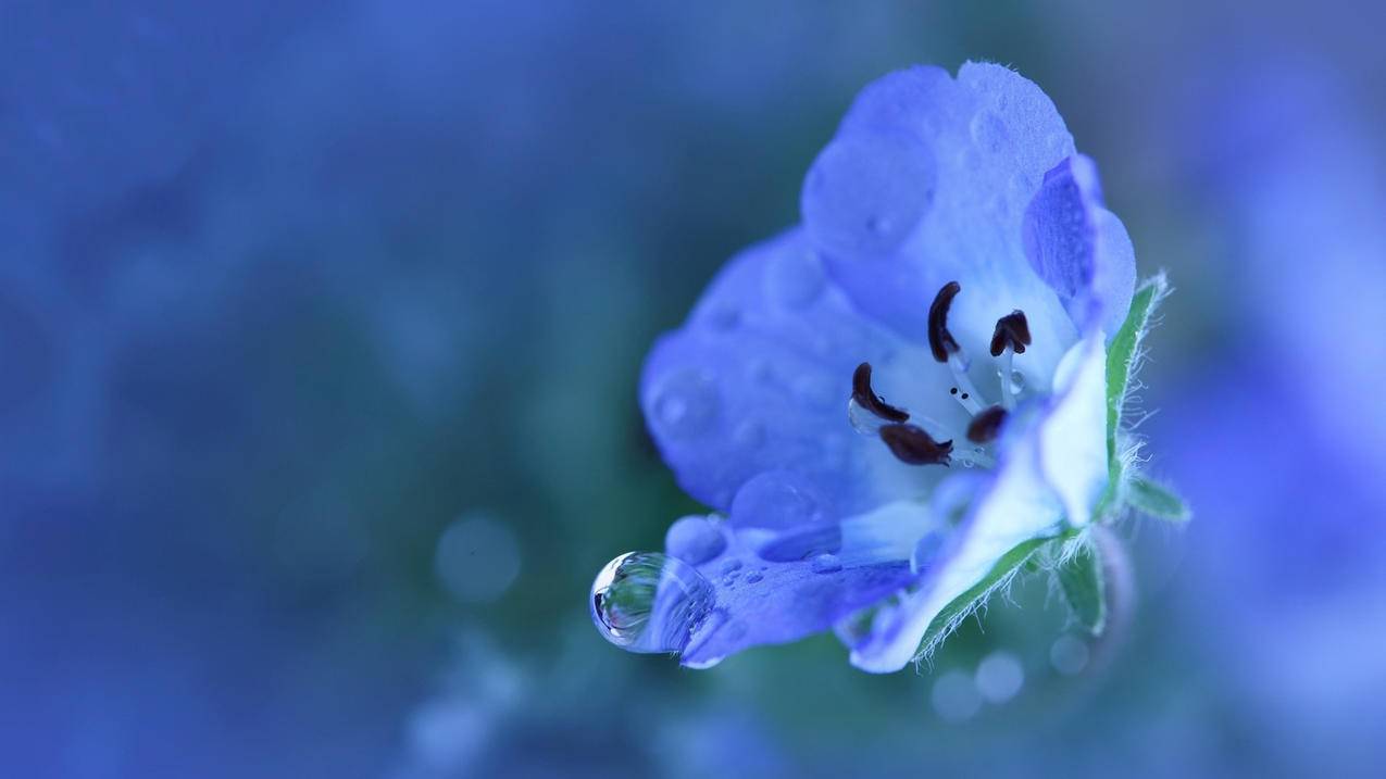 hero-image